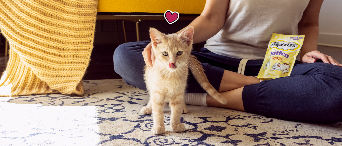 What Can Kittens Eat and What Should They Avoid? 