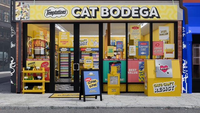 Cat Bodega Storefront
