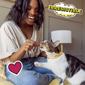 new Why-Temptations-375x435.png 