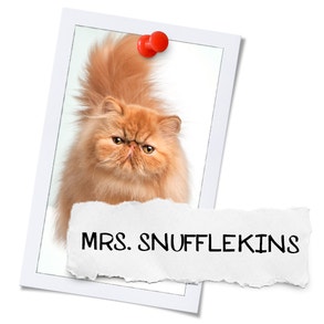 Cat Burglar Suspect: Mrs. Snufflekins