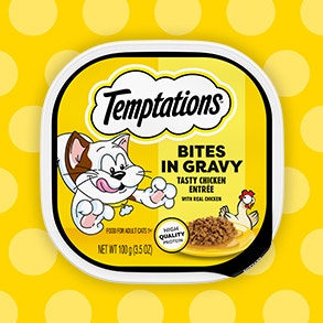 temptations bites in gravy chicken