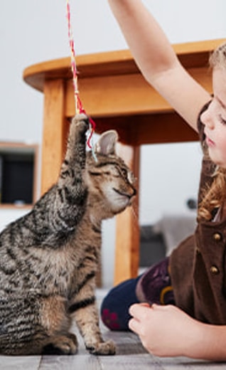/sites/g/files/fnmzdf3061/files/2023-02/kitten-and-little-girl.jpg