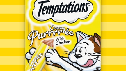 Sassy cat deals treats