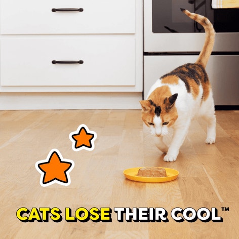 Tasty Chicken and Seafood Medley Paté in Gravy Flavor Variety Pack image 1