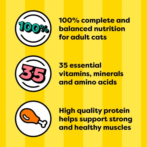 Tasty Chicken Flavor Bites in Gravy image 1