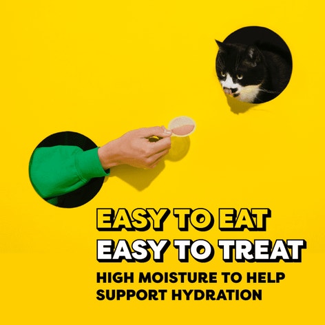 Temptations Lickable Spoons with Chunks Cat Treats, Salmon Flavor with Chicken Chunks, 8 Count image 1