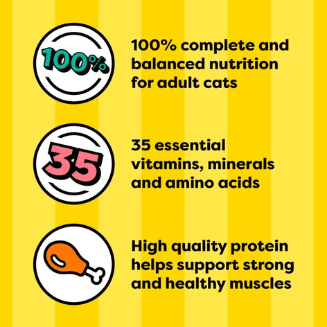 Seafood Medley Flavor Paté in Gravy image 1