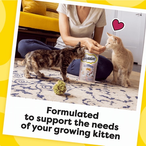Kitten Salmon and Dairy image 1