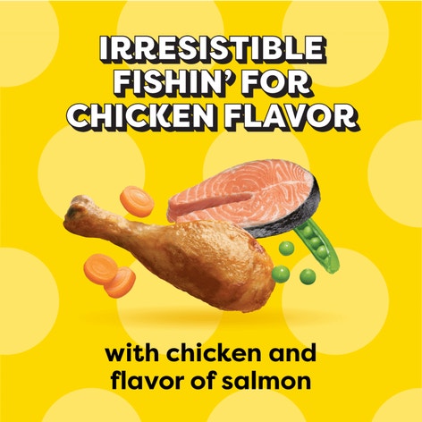 Dry Cat Food Indoor, Fishin’ For Chicken Flavor image 1