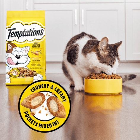TEMPTATIONS Tasty Chicken Flavor Adult Dry Cat Food, Holiday Edition Bag image 1