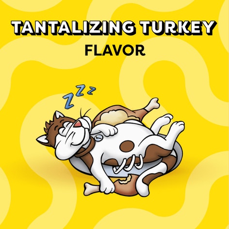 Tantalizing Turkey Flavor image 1