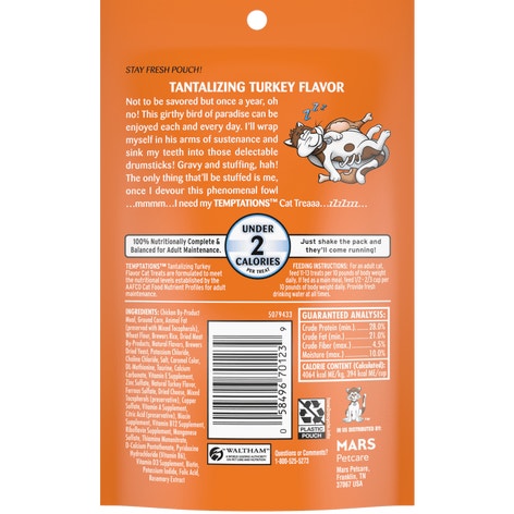 Tantalizing Turkey Flavor image 1