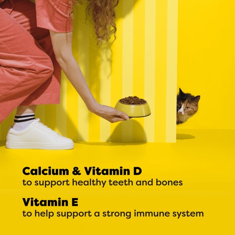 Block Party BBQ Flavor Dry Cat Food image 1