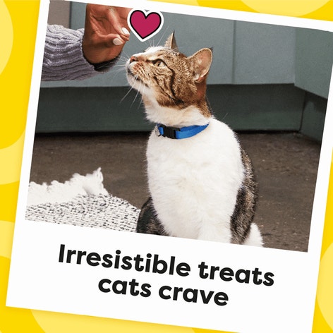 Creepy Catnip image 1
