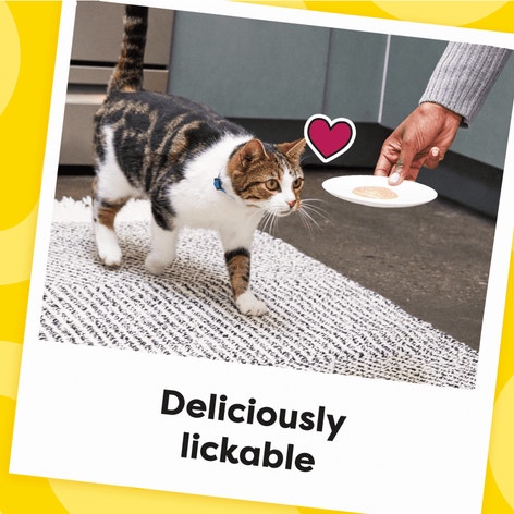 Creamy Puree Chicken Lickable Cat Treats image 1