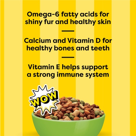 Dry Cat Food Indoor, Fishin’ For Chicken Flavor image 1