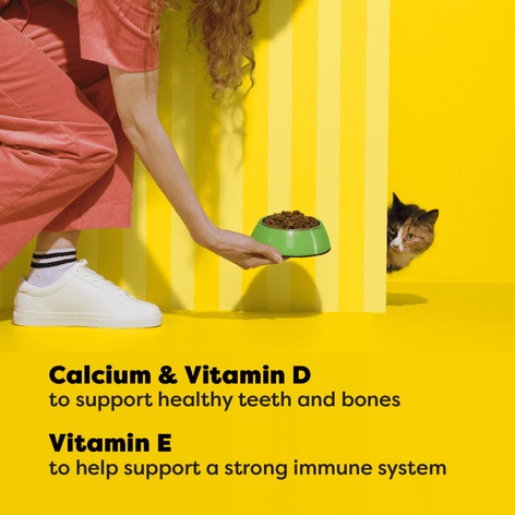 Dry Cat Food Indoor, Fishin’ For Chicken Flavor image 1