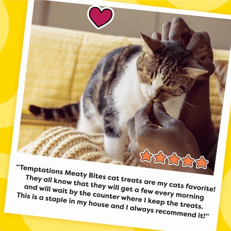 Meaty Bites Chicken image 1