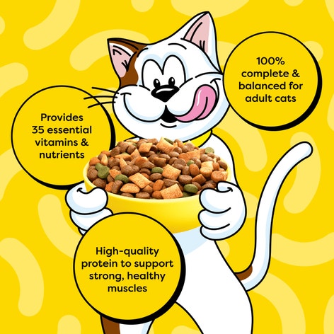 Tasty Chicken Flavor Dry Cat Food image 1