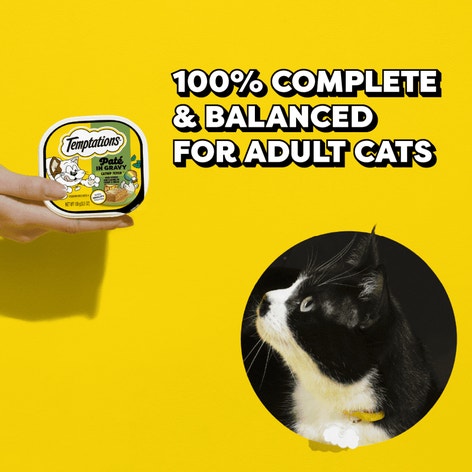 Temptations Pate in Gravy Catnip Fever Flavor image 1