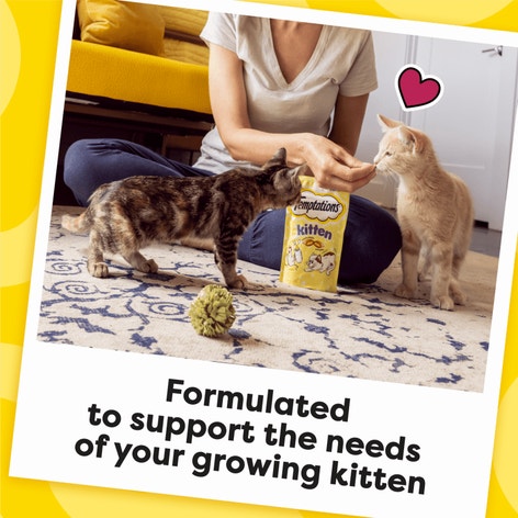 Kitten Chicken and Dairy image 1