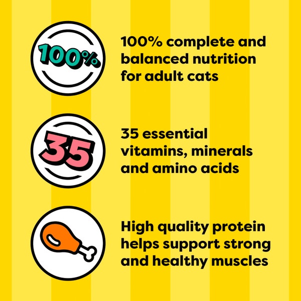 Tasty Chicken Flavor Bites in Gravy image 2