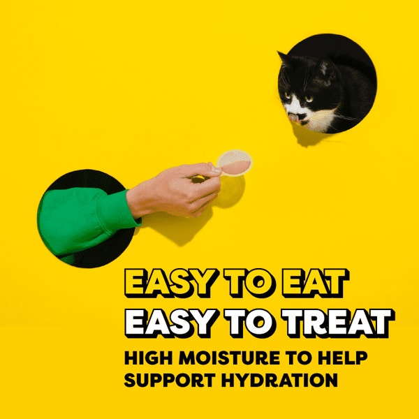 Temptations Lickable Spoons with Chunks Cat Treats, Salmon Flavor with Chicken Chunks, 8 Count image 2