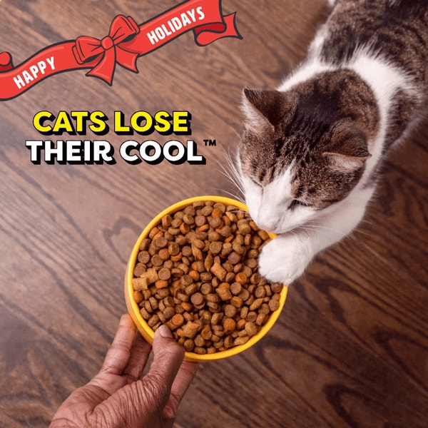 Tasty Chicken Flavor Adult Dry Cat Food, Holiday Edition Bag  | TEMPTATIONS™ image 2