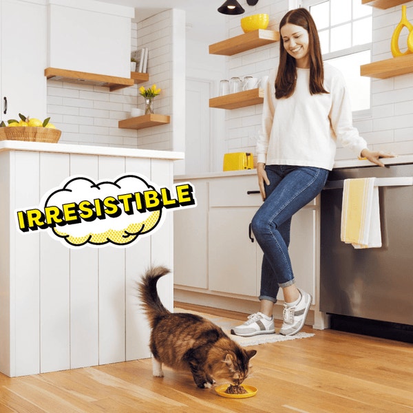 Seafood Medley Flavor Bites in Gravy image 3