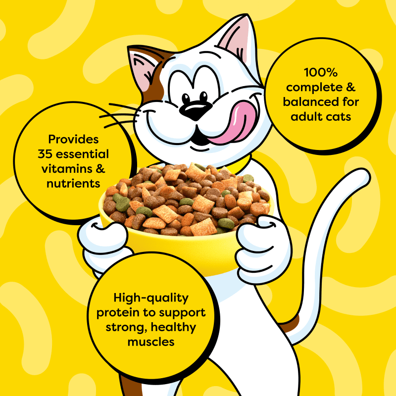 Tempting Tuna & Chicken Flavor Dry Cat Food image 3