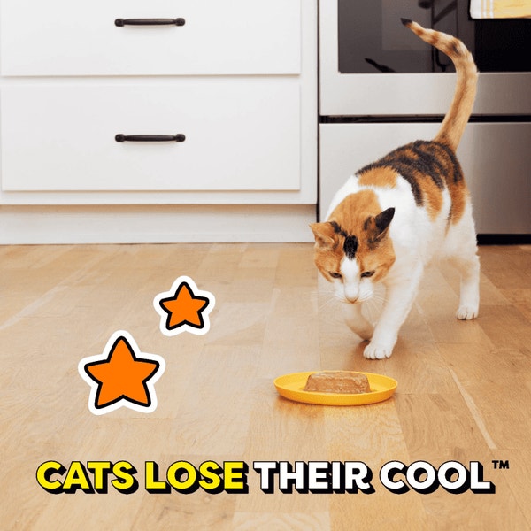 Seafood Medley Flavor Paté in Gravy image 5