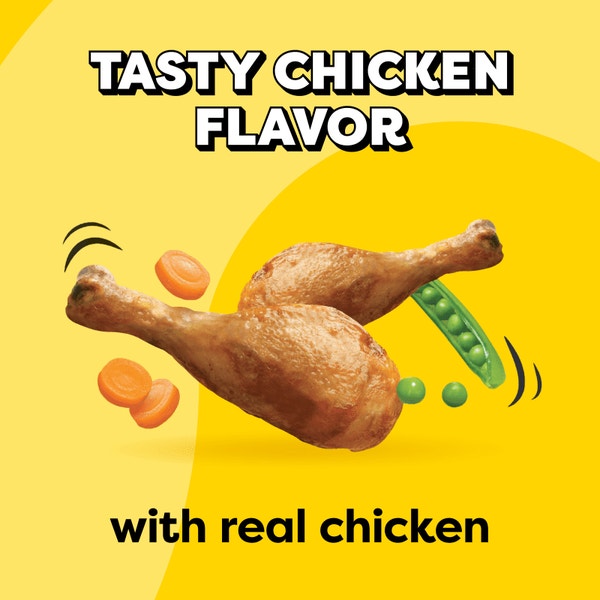 Tasty Chicken Flavor Dry Cat Food image 2