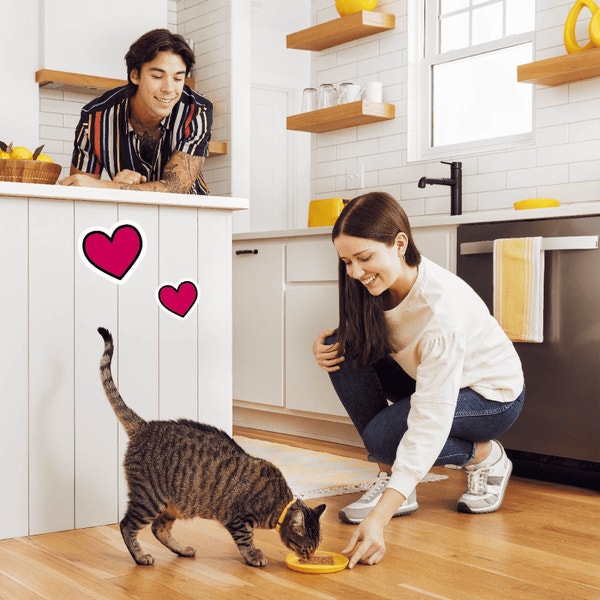 Tasty Chicken Flavor Paté in Gravy image 4