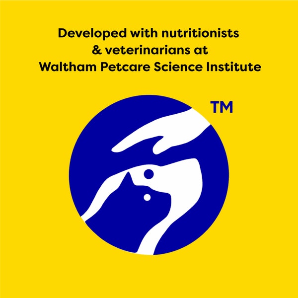 Meaty Bites Chicken image 5