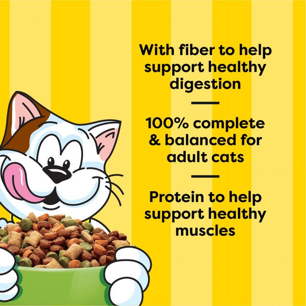 Dry Cat Food Indoor, Fishin’ For Chicken Flavor image 3