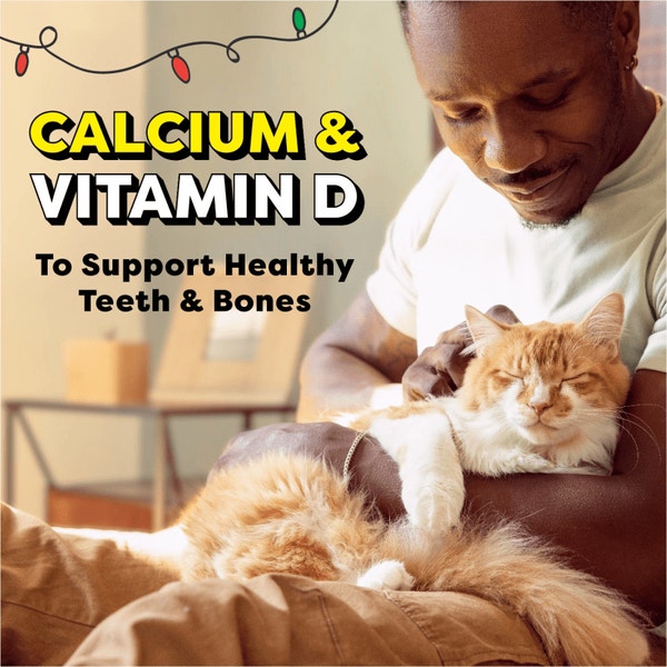 TEMPTATIONS Tasty Chicken Flavor Adult Dry Cat Food, Holiday Edition Bag image 3