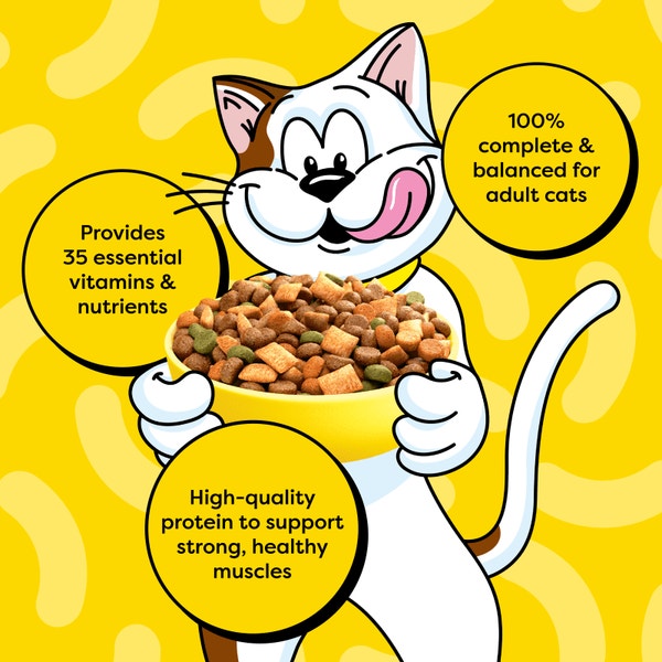 Tasty Chicken Flavor Dry Cat Food image 3