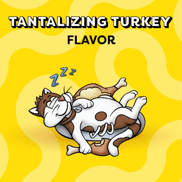 Tantalizing Turkey Flavor image 2
