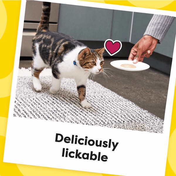 Creamy Puree Chicken Lickable Cat Treats image 2