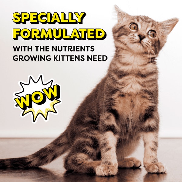 Temptations Dry Kitten Food Tasty Chicken & Dairy Flavor Cat Food image 2