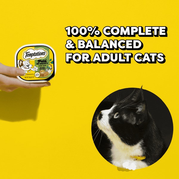 Temptations Pate in Gravy Catnip Fever Flavor image 3