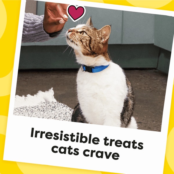 Lobster and Beef Flavor Cat Birthday Treats | TEMPTATIONS™ image 4