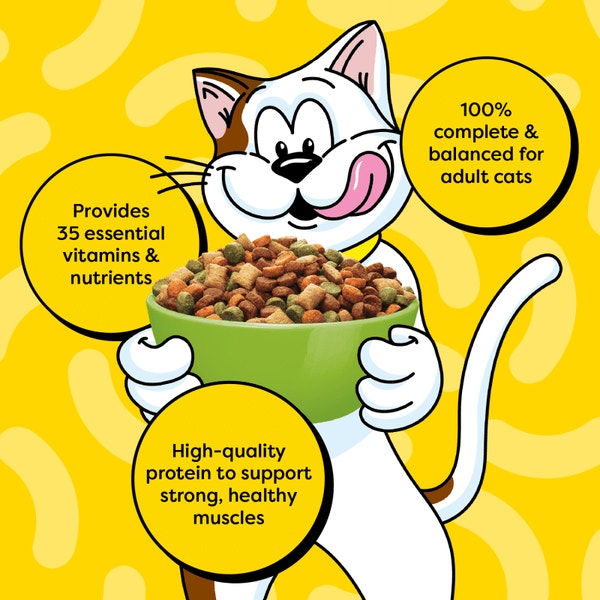Dry Cat Food Indoor, Fishin’ For Chicken Flavor image 3
