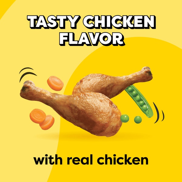 Tasty Chicken Flavor Dry Cat Food image 2