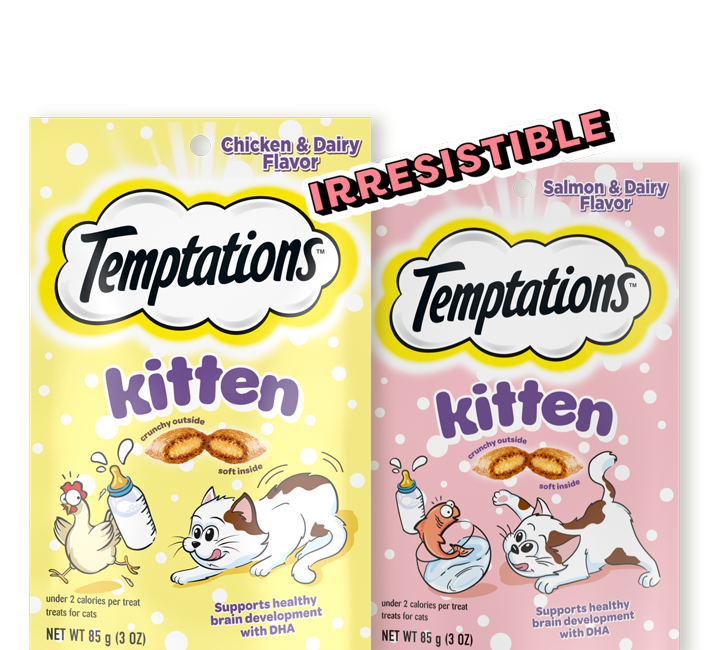 kitten-irresistible-720x650 png
