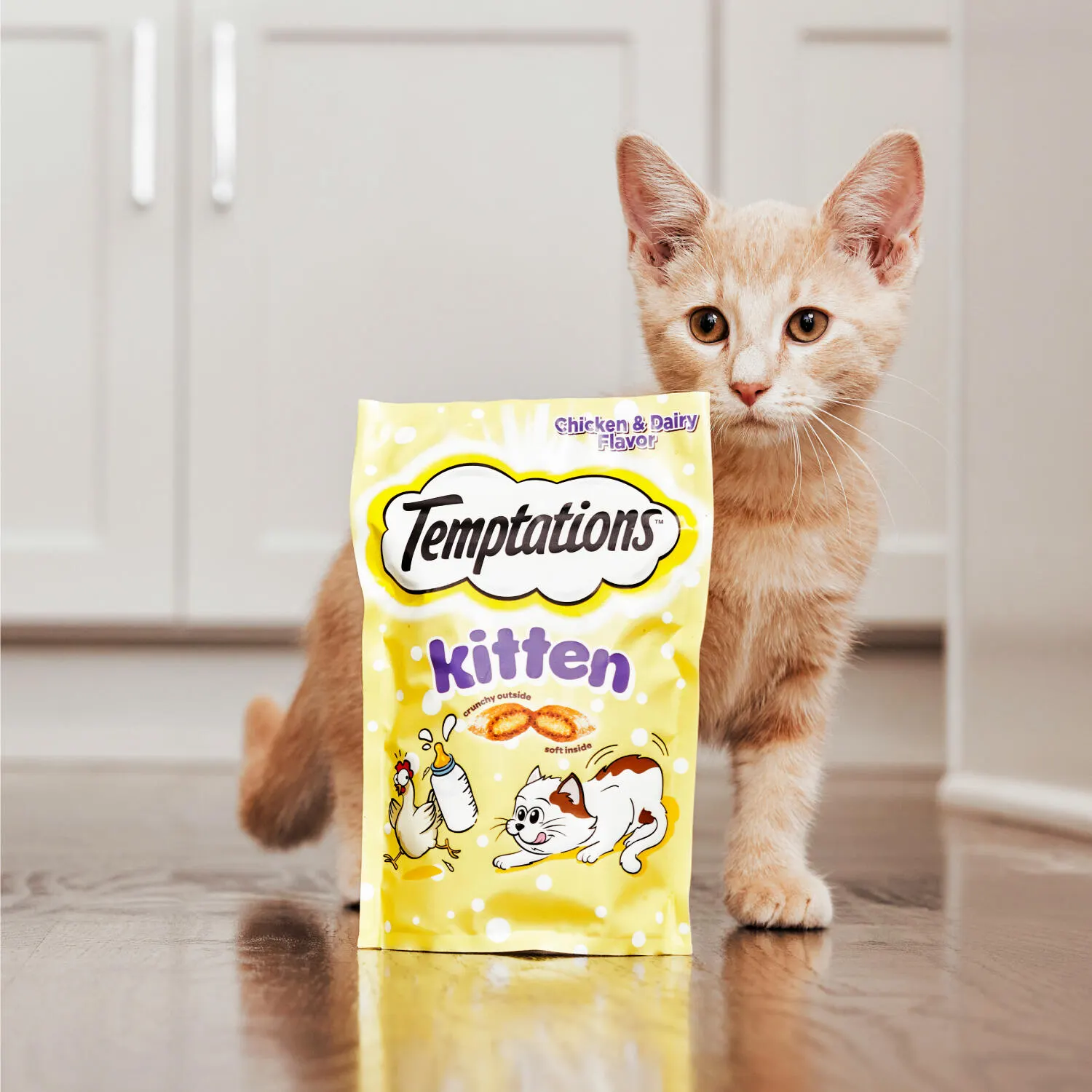 Kitten standing behind a bag of TEMPTATIONS™ Kitten treats